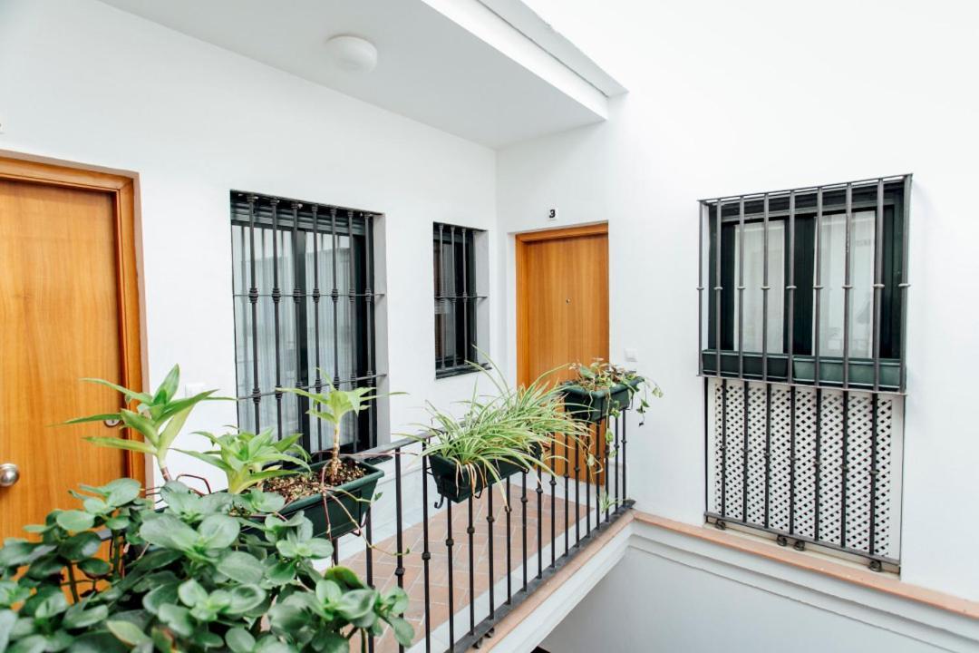 Bright Duplex W/ Terrace Apartment Sevilla Exterior foto